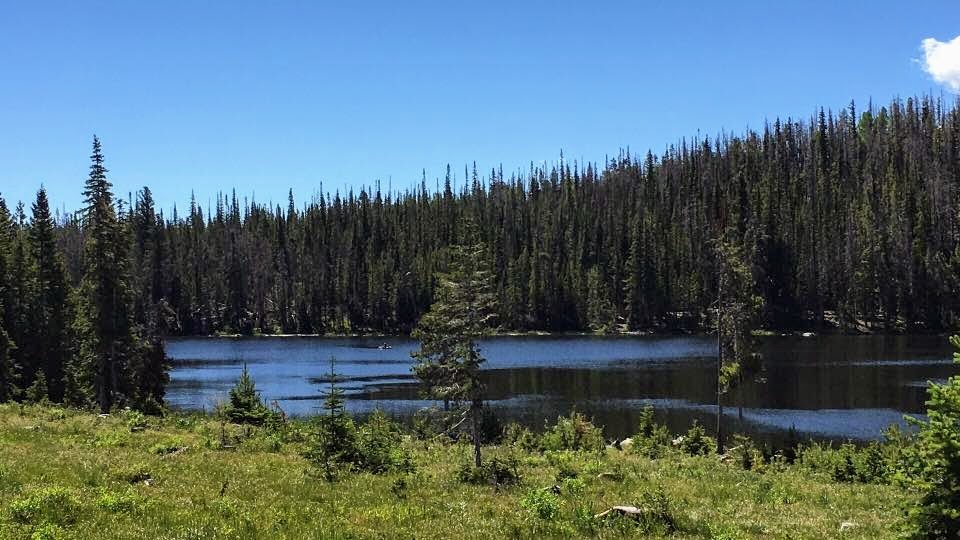 The mountains are calling and I must go. ~John&nbsp;Muir