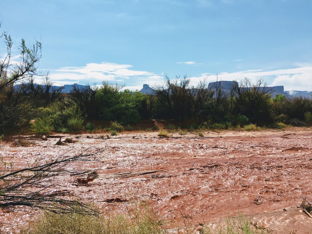 Onion Creek After Rain Storm