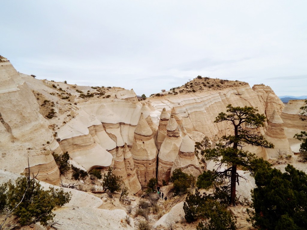 “Without new experiences something inside us sleep.   The sleeper must&nbsp;awaken.”