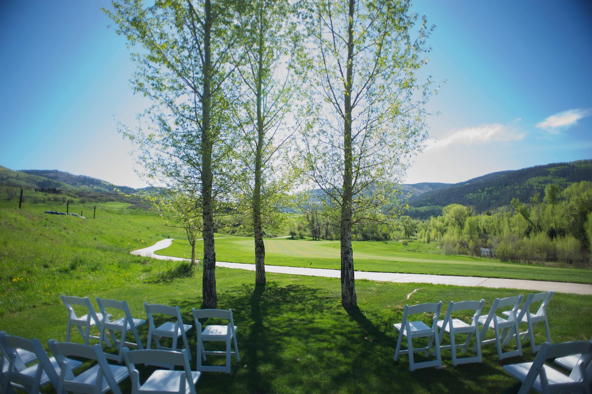 meadows with aspen trees