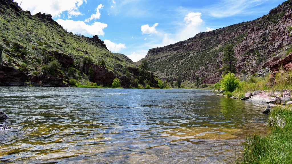 Fishing Weekend on the&nbsp;Green