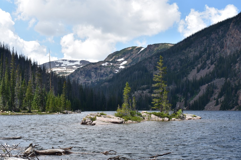 I ran away to the&nbsp;woods!