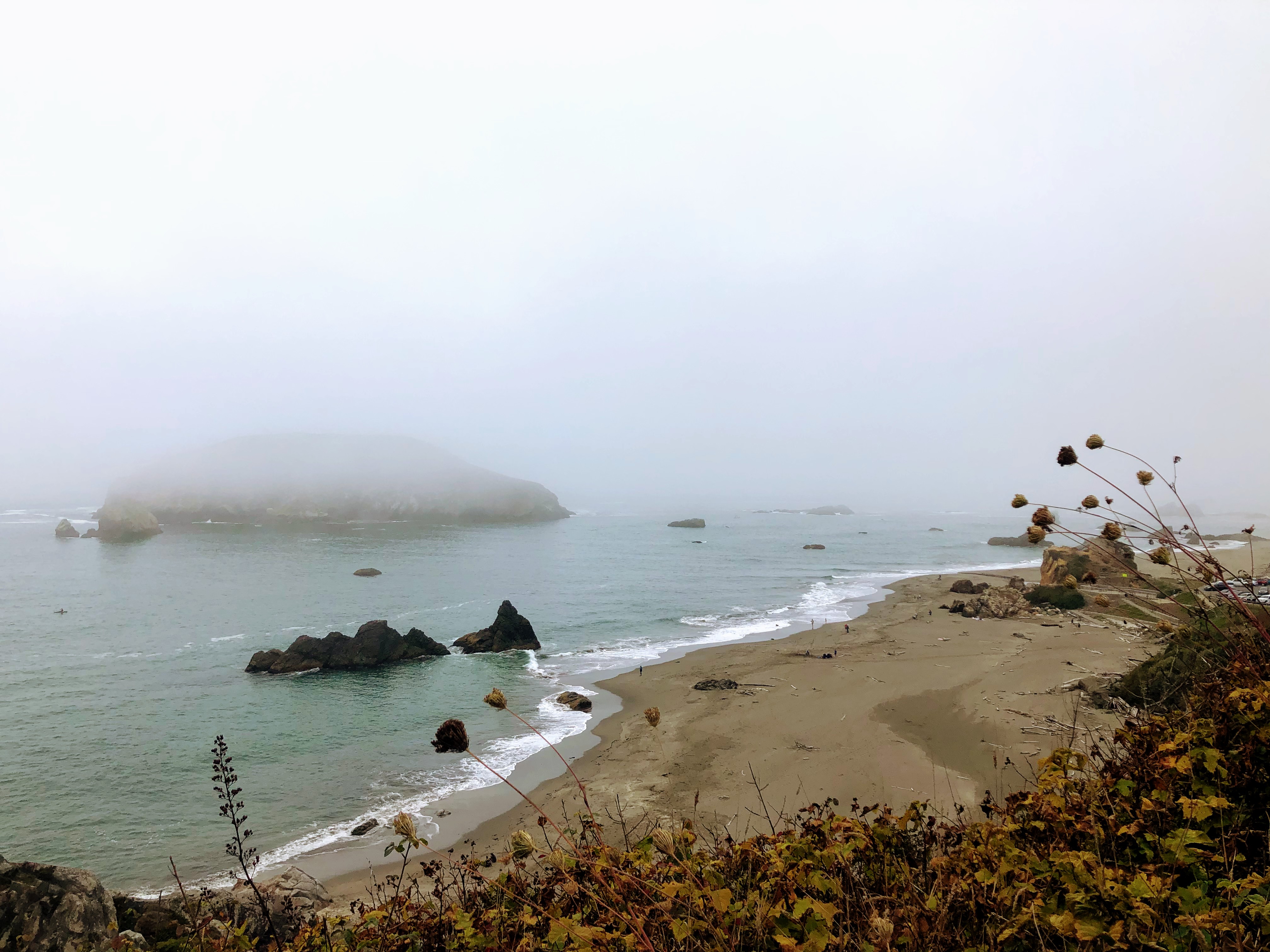 Fog coming in along the beach