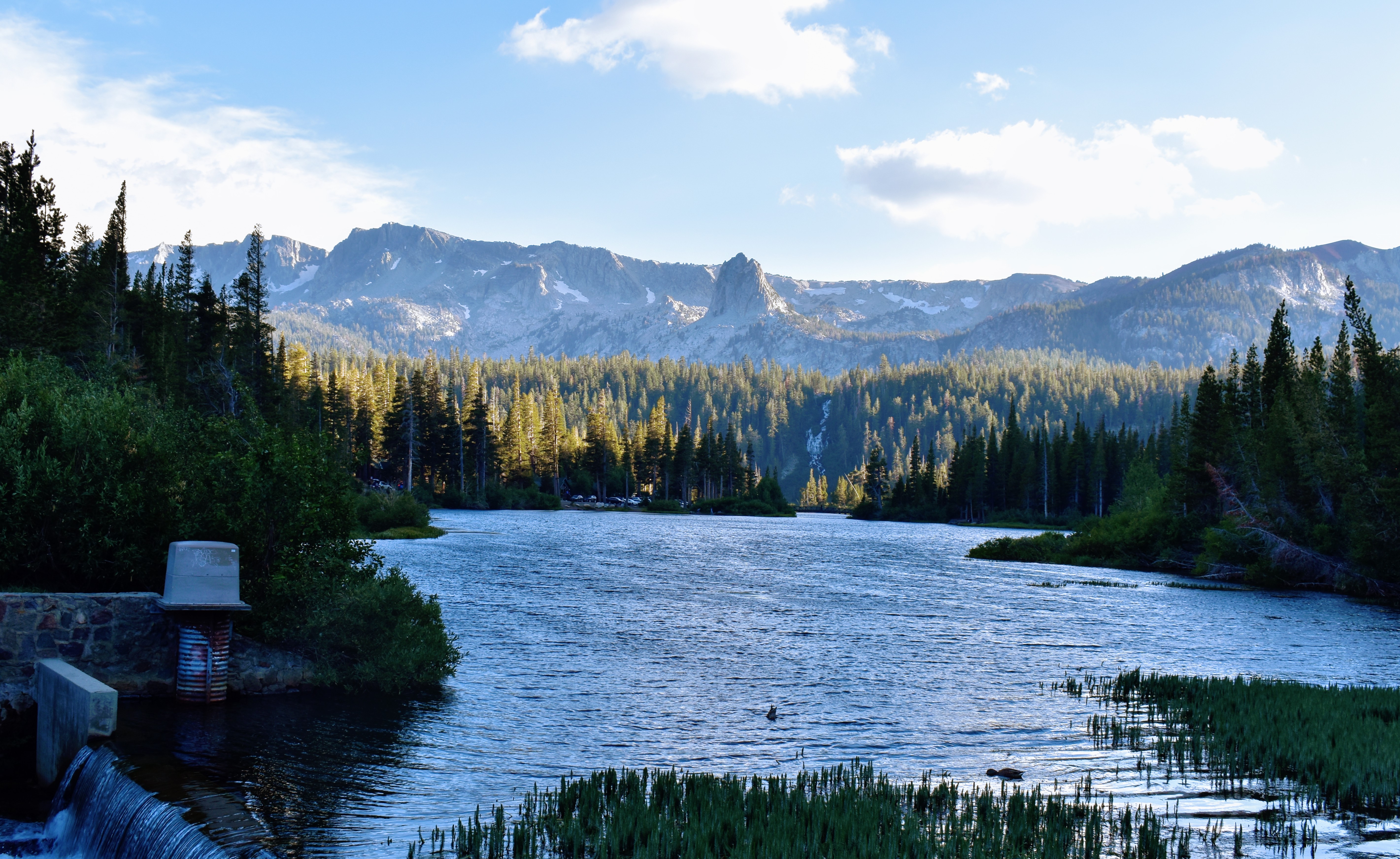 viewing a lake surrounded by pines and mountains