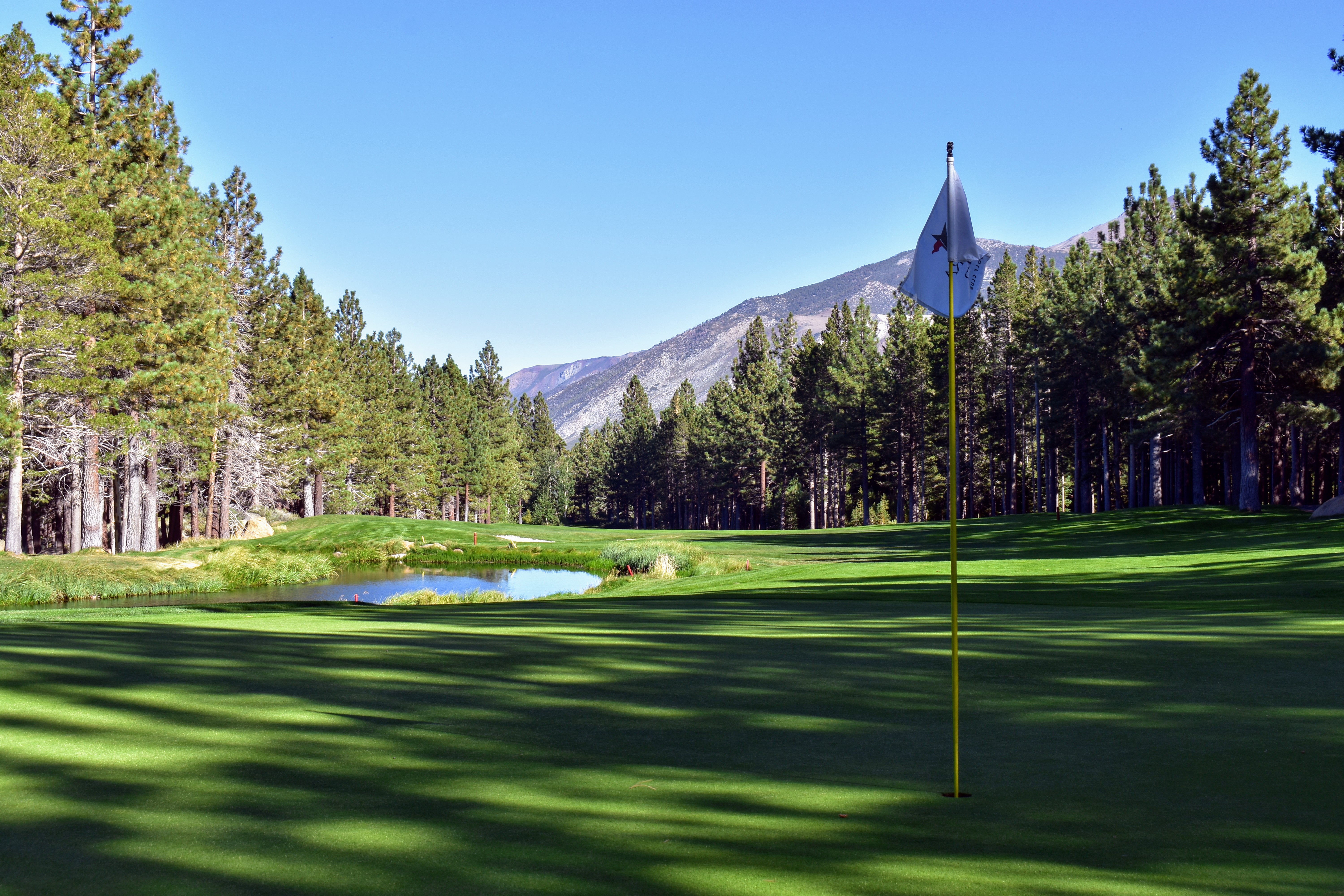 view a the green on a golf course