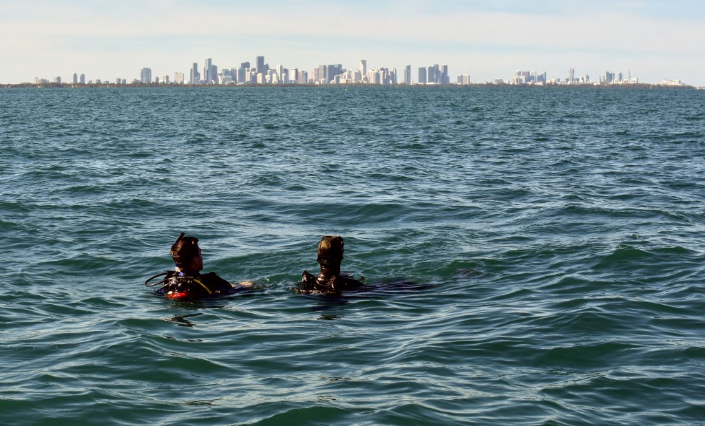 Diving Rookie – Our Newest&nbsp;Member