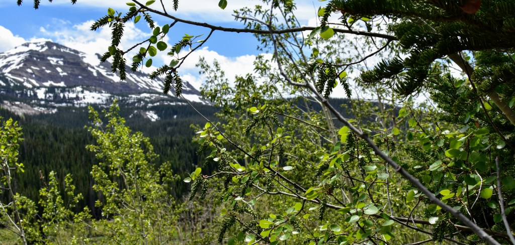 When Travel Plans&nbsp;Change