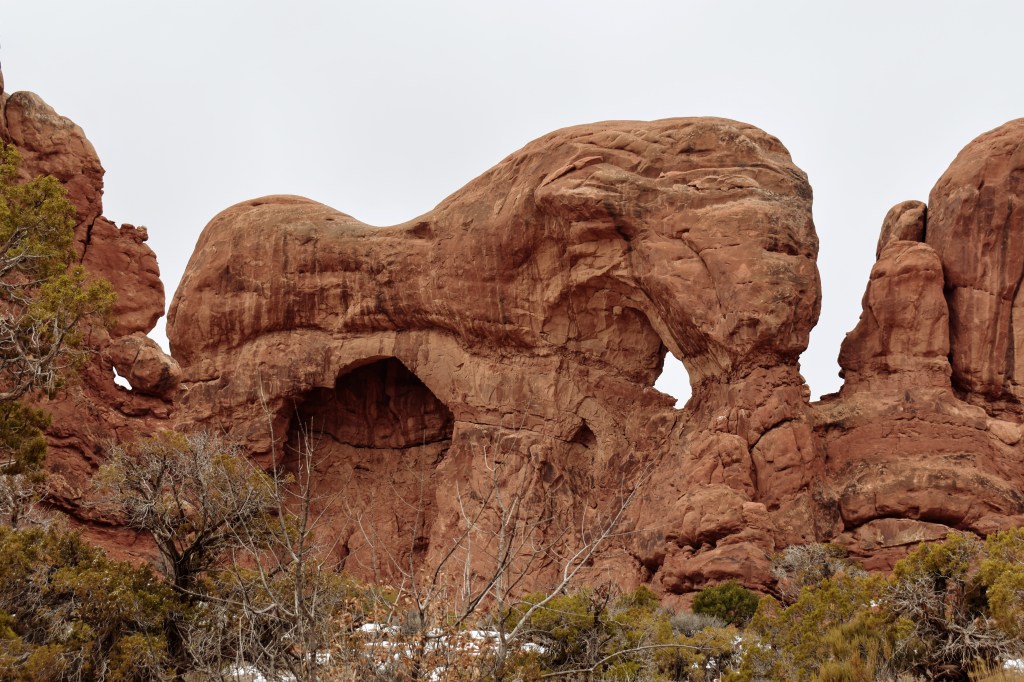 Elephant Rock