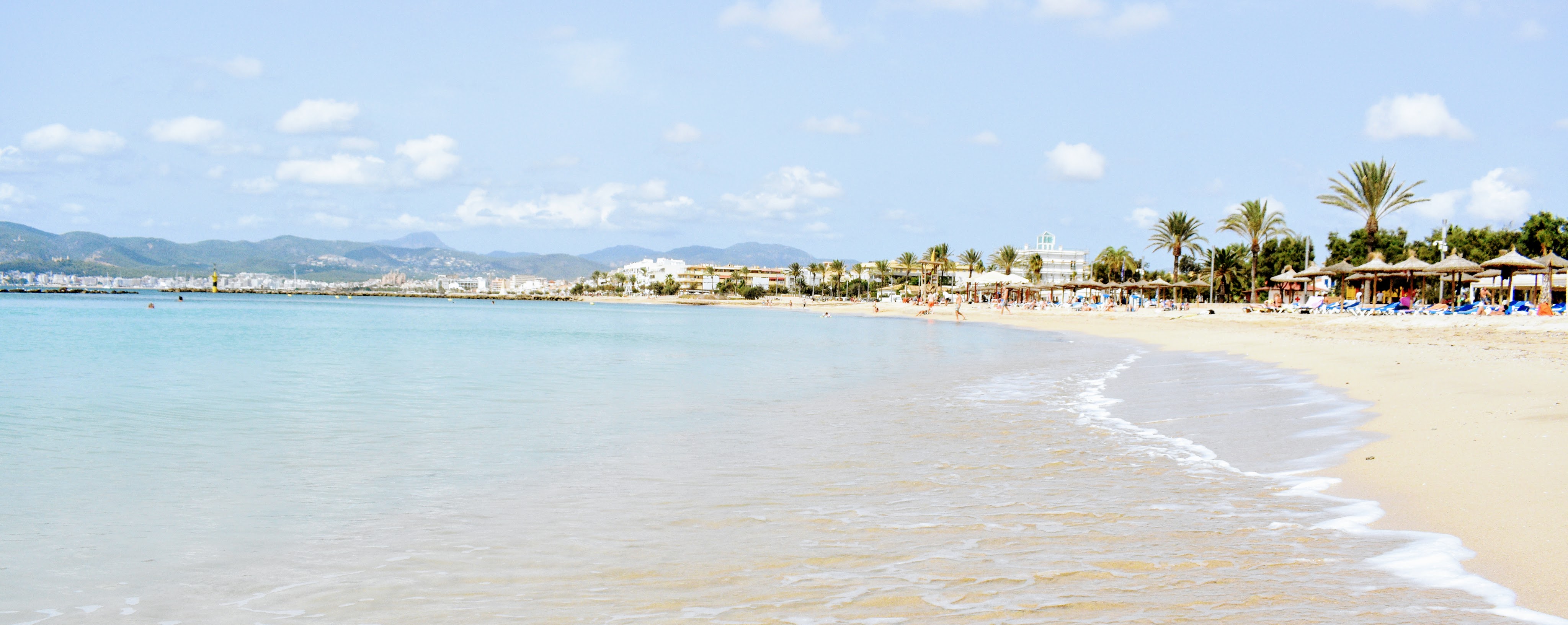 beach with palm trees