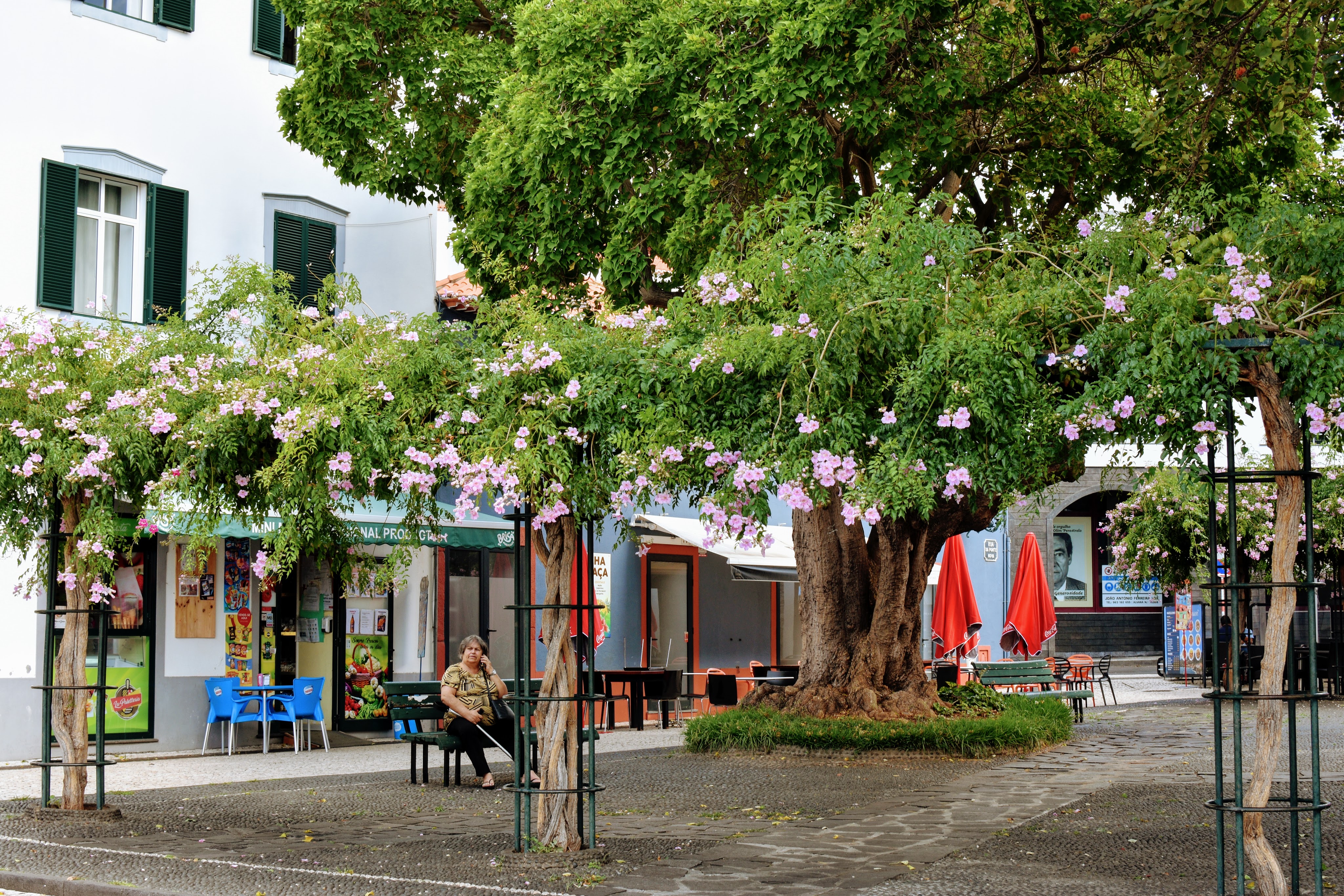Flowers on the Vines