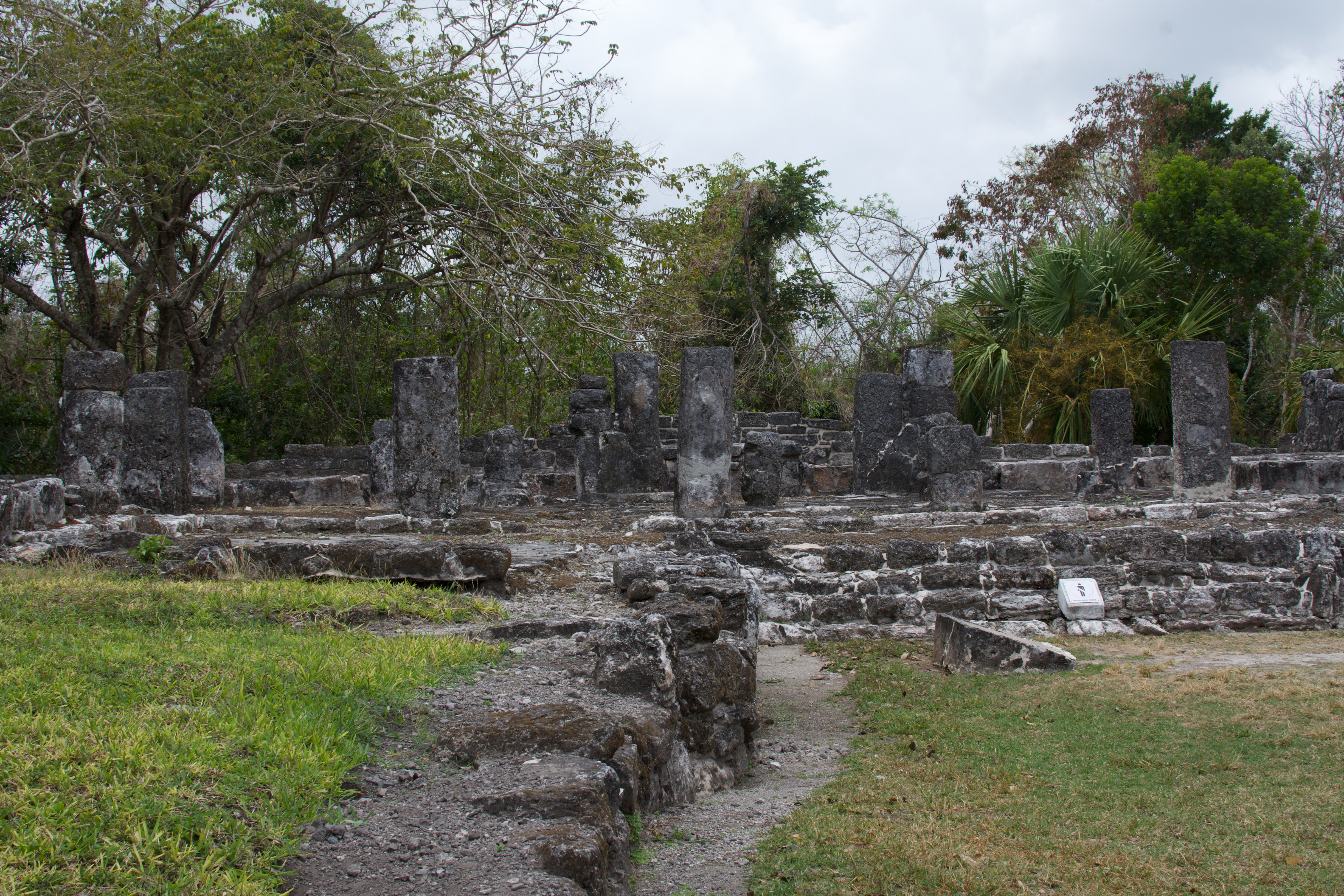 mayan ruins - columns