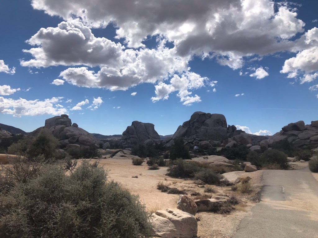 desert landscape with rocks